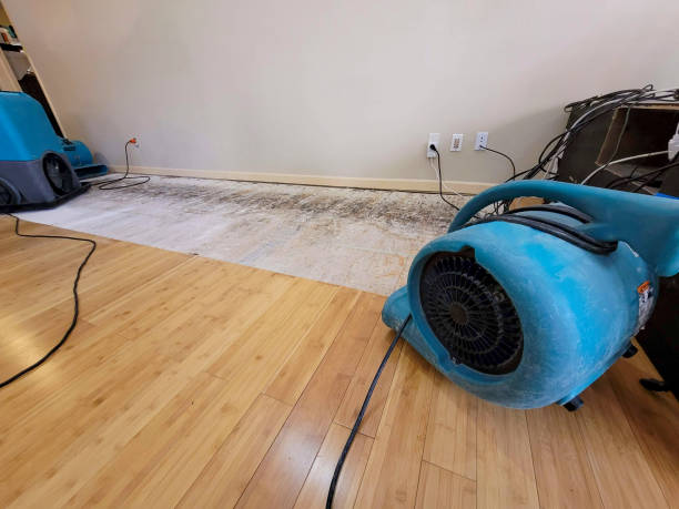 Professional Sewage Cleanup technician working in University Center, MI